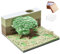 Time Piece Calendrier 2024 Bloc-notes 3d Avec Vitrine En Forme D'arbre Bloc-notes Décoratif 3d Bureau Salon Bureau Bloc-notes Cadeau Art 3d Bloc-notes Pour Collègue Ami Vert