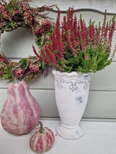 Arinosa Blumentopf Übertopf Pokal auf Fuß Keramik Shabby Antik 13x21x21 cm