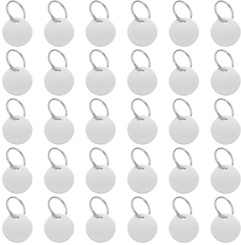 Fyrdm 30 Stück Edelstahl Anhänger Blanko, 3cm Rohlinge Hundemarke | Edelstahl Schlüsselanhänger, Hundemarke Ohne Gravur mit Schlüsselring, für Dog Tags Gravur, Halsketten