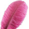 Crenze 10Pcs Straußenfedern 12-14Inch (30-35cm) Für Haus Hochzeitsdekoration bietet (Rosa)