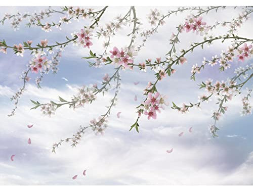 Runa Art Papier peint intissé Sakura fleurs 352 x 250 cm Toison Mur XXL Tableaux Muraux Tapisserie Photo Décoration Murale Salon Chambre bleu 9437011a