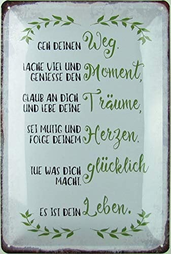 Generisch Metallschild 20 x 30 cm Geh deinen Weg Sprüche Blechschild