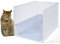 JIMEIQI 1 x großes Katzentoiletten-Gehäuse, Urinierschild, hohe Seitentoilette, Katzentoilette, Spritzschutz, Katzenklo mit Schild
