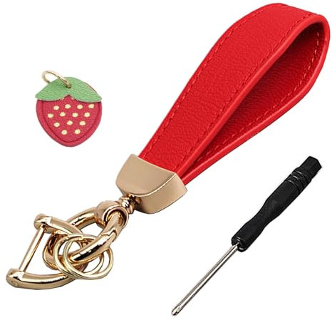 PALAKATE Schlüsselanhänger Leder, Schlüsselanhänger Auto, Schlüssel-Organizer mit 2 Schlüsselanhängern und Anti-Verlust-D-Ring, rot