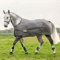 Waldhausen Regen-Fliegendecke Comfort, grau, 125 cm