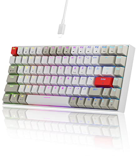 Newmen GM840 Clavier Gaming sans Fil Mini,Clavier Mécanique 60% Blanc et Gris USB/Bluetooth/2.4Ghz,Clavier Gamer Mecanique RGB Rétroéclairé échangeable à Chaud pour PC/Mac/Win(Gateron Bleu)
