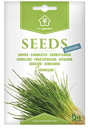 Ciboulette, Graines prêt à Pousser Minigarden, 100% Naturelles sans Propagateurs Chimiques ni Génie Génétique, inclut entre 1600 et 2000 graines