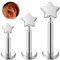 ESHIONER G23 Titan Conch Tragus Helix Medusa Ohr Ohrpiercing Labret Lippe Bar Stecker Knorpel Hypoallergen Silber Stern 16g 6mm 8mm 10mm Gewindelose Push In Flat Back Studs Piercing Schmuck
