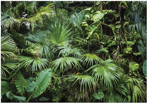 WallArena - Papier peint photo non tissé motif feuilles tropicales forêt nature vert plantes 200 x 140 cm – Papier peint photo – Pour salon et chambre à coucher – Papier peint non tissé effet 3D