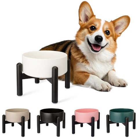 Raised Ceramic Dog Bowl - Elevated Food Water Dish with Stainless Steel Stand - For Small to Medium Dogs - 6 Inch - 2 Cups (28.75 fl oz) - White