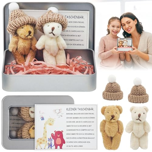 Pocket Hug Positive Teddybär,2x Mini Teddybär,Mini Puppe Stofftiere Bär | Pocket Hug Bär In Einer Box,Teddy Bear mit Inspirierender Karte Plüsch Figuren,Positive Ggeschenke für Kollegen Freundin