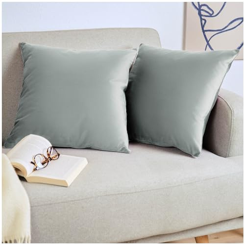 Blumtal 2er Set Kissenbezug 40x40 cm Grau - dekorativer Samt Kissenbezug mit verstecktem Reißverschluss, Kissenhülle für Zierkissen Deko-Kissen Polster Sofakissen & Couchkissen, waschbar