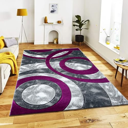 B&B Luxury Rug for Living Room - Beautiful Color Circle Design Super Soft Shaggy Extra Large Dining Room Rug Heavyweight Bedroom Carpet Mat - Purple, 160 x 230 cm