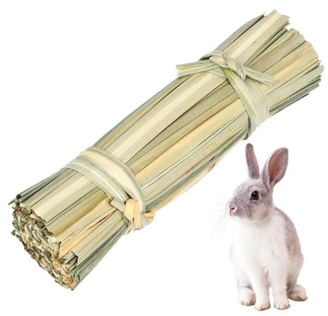 Gewebter Tunnel für Haustiere – Versteck-Gras-Tunnel-Spielzeug | kleines Haustier-Spielzeug für kleine Tiere, handgewebtes Gras, Einstreu, Hase, Gras, Haus, interaktives Spielzeug