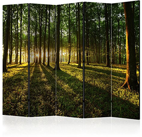 RAUMTEILER/PARAVENT B&D XXL - Paravent Raumteiler Innen Wald Baum Natur 225x172 cm 5-teilig Einseitig Raumtrenner Trennwand Holz Room Divider Spanische Wand Raum Abtrennung grün c-B-0027-z-c