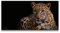 Paul Sinus Leinwandbild 120x60cm Jaguar Raubkatze schönes Tier Katze Wild Dschungel