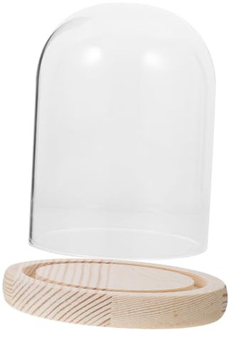 Amosfun U-förmige Glasglocke Mit Holzboden Transparente Kuchenglocke Glasglocke Multifunktional Als Kuchendekoration Und Schmuckvitrine Geeignet
