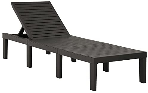 Holamys Gartenliege Kunststoff Anthrazit verstellbar, wetterfest, für bequemes Sonnenbaden im Außenbereich, einfache Reinigung, leicht umzustellen