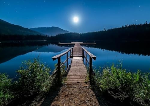 Night Plank Road-5000-Teiliges Puzzle, Wunderschön Illustriertes Puzzle, Großes Dekompressionsspielzeug Für Puzzlespiele, Geeignet Für Spieleabende