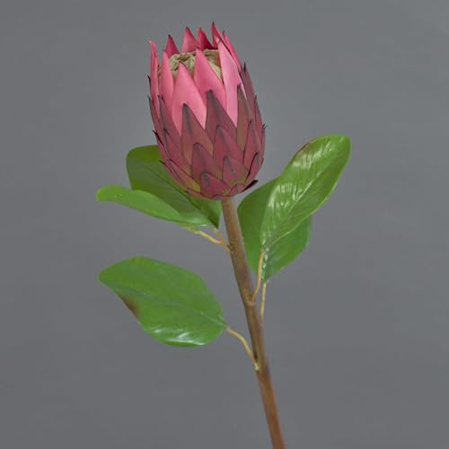 artplants.de Dekoblume Protea AZHEN, violett, 65 cm - Künstliche Stielblume