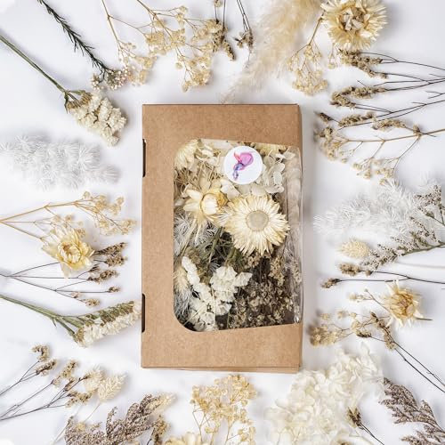 Premium Trockenblumen zum Basteln - Vielfältige Farben, Natürlich Duftend, in Stilvoller Öko-Papierbox - Made in Germany (Weiß)