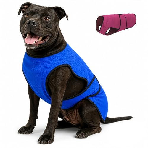 Dogzstuff Gilet de Refroidissement pour Chien léger avec Technologie de Microfibre évaporative et Anti-UV, Taille pour Chiens Petits, Moyens et Grands, (XL, Bleu foncé)