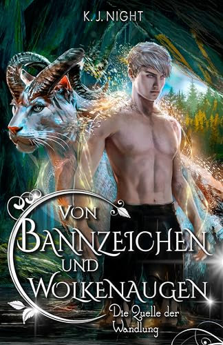 Die Quelle der Wandlung: Von Bannzeichen und Wolkenaugen 2 (Fantasy Gay Romance/ berührende MM Lovestory)