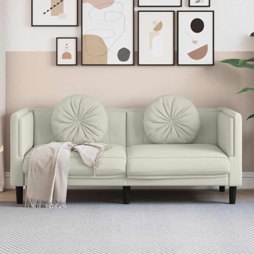 ROMHZKS Samt Sofa 2-Sitzer Grau Modern mit Stützbeinen und Polsterung für Wohnzimmer Komfort Sitzgruppe
