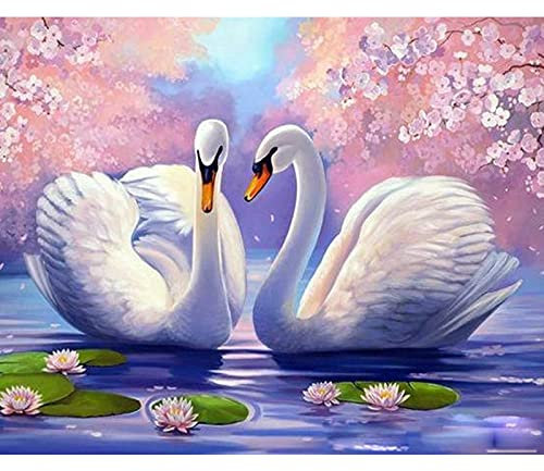 Zdklfm69 Malen nach Zahlen Ölgemälde nach Zahlen Schwan Tier Ölbild Mit Auf Leinwand Zum Zeichnen DIY Bastelsets Erwachsene Wohnkultur Kunst (Kein Rahmen) 40x50cm