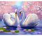 Zdklfm69 Malen nach Zahlen Ölgemälde nach Zahlen Schwan Tier Ölbild Mit Auf Leinwand Zum Zeichnen DIY Bastelsets Erwachsene Wohnkultur Kunst (Kein Rahmen) 40x50cm