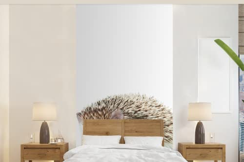Selbstklebend Tapete Wandpapier Wandaufkleber Fototapete Tapeten Wanddeko 120x240 cm Igel - Tiere - Weiß