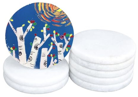 elthmpr 8 Pièces Galets De Peinture - Pierres Plates Blanches à Peindre - Grandes Pierres décoratives de 6,3 cm de diamètre - pour Art, Artisanat, décoration d'aquarium