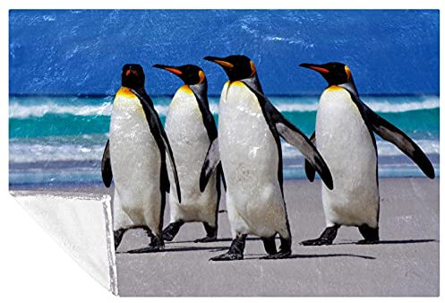 BestIdeas Stranddecke, Pinguin-Druck, weich, warm, gemütlich, Überwurf für Bett, Couch, Sofa, Picknick, Camping, Strand, 150 x 100 cm