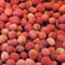5 Pcs Litschi Samen, Bonzai Baum Pflanztopf Winterharte Kübelpflanzen (Litchi Chinensis) Frisches Obst Topfpflanzen Draußen Winterhart Bäume Garten Winterhart Pflanze Obstbaum Ausgefallene