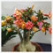 YGHESFDE Wüstenrose pflanze kaufen-Desert rose pflanze Adenium obesum pflanze wüstenrose pflanze kaufen wüstenrose zimmerpflanze-2Pflanze-J