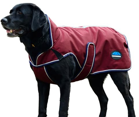 WeatherBeeta ComFiTec Premier Deluxe Waterproof Dog Coat, Burgundy/Navy, 75cm