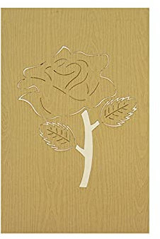 RF Distribution Biglietto di Auguri con Origami Surprise, Farfalle E Fiori