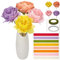 ORIGACH 25 Stück DIY Blumen Krepppapier Pfingstrose Kit, handgemachte Krepppapier Pfingstrose Handwerk Kit für Haus Dekor, enthalten Krepppapier, Florist Draht, Heißkleber Stick und Anleitung