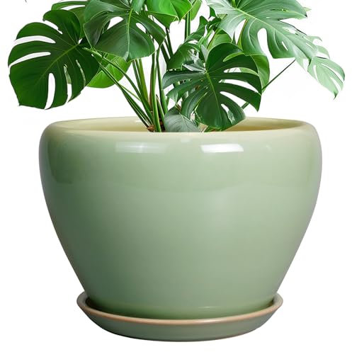 Ceramicfor Keramik-Pflanztopf - 25,4 cm Pflanztopf für Zimmerpflanzen, dekorativer Übertopf mit Drainageloch und Untersetzer, großer Topf für Pflanzen, Outdoor, runder Blumentopf für Garten, Grün