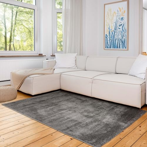 Astra Einfarbiger Teppich Wohnzimmer, Schlafzimmer - Kuscheliges Flachgewebe für Innen - Sehr großer Kurzflorteppich weich - Teppich Grau, 200 x 280 cm