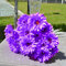 Künstliche Blumen, Venkaite 10 pcs PU Künstlicher Gerbera Gänseblümchen Blumenstrauß Braut Hochzeit Bouquet für Hochzeitsfeier Zuhause Büro Dekoration, Lila