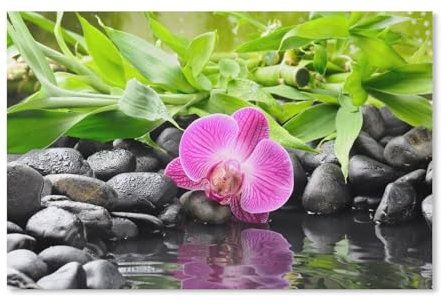 Erwachsene und Kinder Puzzle 1000 Teile Puzzle,Der Schwarze Kiesel am Wasser, lila Orchideen,einfaches Puzzlespiel Rollenpuzzle Lernspiel Spielzeug Familie Dekoration(38x26cm)-2
