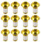 CNC bremsscheiben Schraube, 12 Stück Fahrrad bremsscheibe Schraube M5 x 10MM，Gold