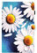Bspring Cover per Samsung Galaxy Tab A7 Lite 8.7 2021 SM-T220/T225 Tablet PC - Ultra Sottile Leggero Cover Protettiva Case Bambini per Samsung Galaxy Tab A7 Lite 8.7 Pollici,Fiore