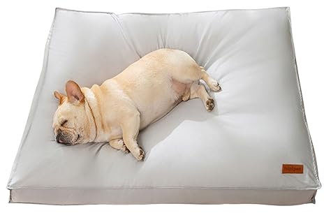 PETCUTE Cama para Perros Pequeños y Medianos, Lavable Con Funda Extraíble, Ortopédica, Impermeable, Antideslizante, Súper Suave Cojín