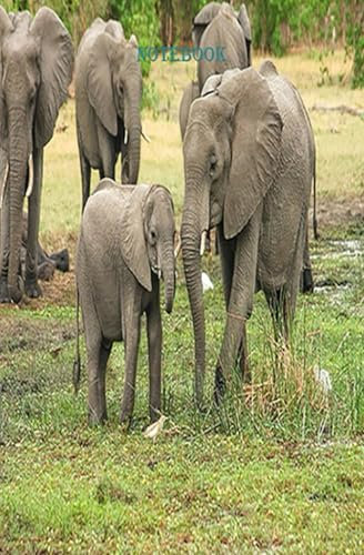 Independently published