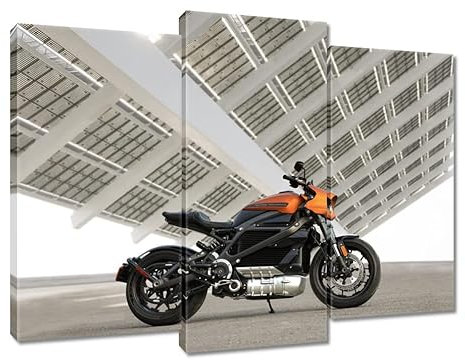 Harley Davidson Motorrad Nr. H5081M_PC3C Wandbild auf Leinwand, 120 x 80 cm