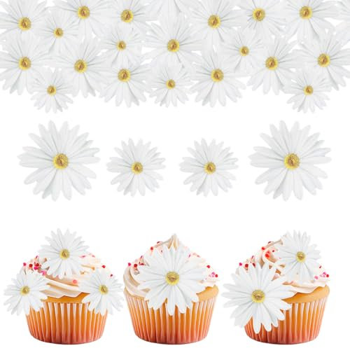 GoldRock 65 Stk Gänseblümchen Tortendeko Essbar Weiß,Essbare Blumen für Torte,Essbare Blüten Tortendeko,Daisy Esspapier Cupcake Topper Deko,Gänseblümchen Muffin Deko für Hochzeit, Geburtstag,Babyparty