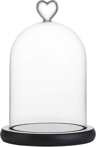 WHOLE HOUSEWARES | Dekorative Klarglas-Kuppel | Tischaufsatz | Dekoration | Schwarze MDF Basis, 14,5 cm D X 16,5 cm H, schaukasten