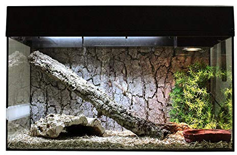 Lucky Reptile Starter Kit Schlange, Farbe:Schwarz, Terrarienmaße (B/T/H):80 x 40 x 52 cm